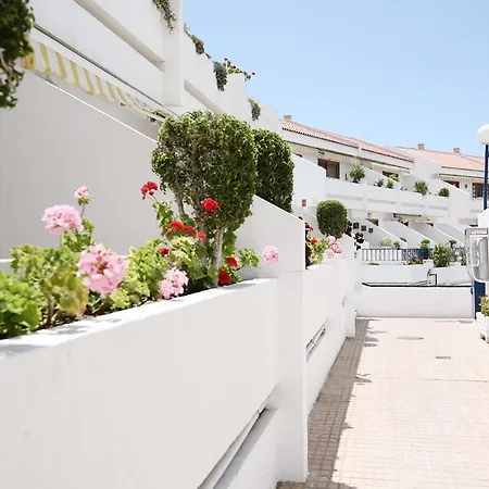 Club Olympus In Garden Appartement Playa de las Américas